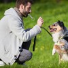 LIANRISES 6pcs Dog Training Whistles For Recall, Silent Dog Whistle