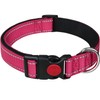 LARRYROO Reflective Dog Nylon Collar | Slide Lock Safety Buckle