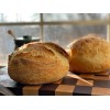 Heritage Sourdough Dehydrated Sourdough Starter 1849 Boudin Baker's San Francisco