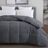 TEXARTIST Premium 2100 Series California King Comforter All Season Breathable