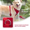 Sunraymascota No Pull Dog Harness Escape Proof, Adjustable Mesh Puppy