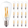 FANNIS 12 Pack ST38 Replacement LED Bulb, 4W Equals 40W,