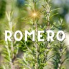Extracto Acuoso De Romero - Uso Cosmético 60ml