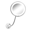 Brightown 10x Magnifying Mirror with Light, Flexible Gooseneck Make up