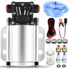 12 Volt Electric Fuel Transfer Pump, High Efficiency Fuel Transfer