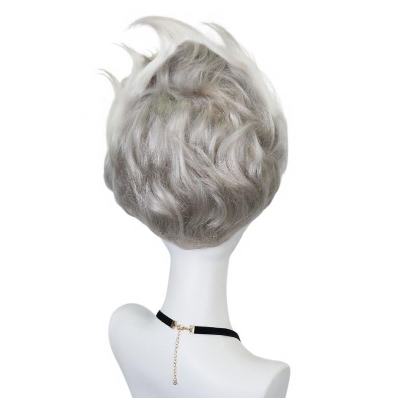 Pure Silver Wig for Men Silver Straight Cosplay Wigs for