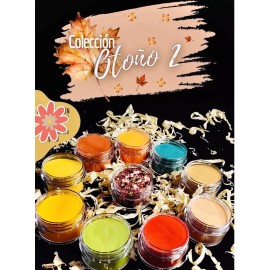 Idy Shop Colección Acrílicos Otoño #2excelente Pigmentación Uñas