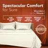 TEXAS LINEN CO. 100% Egyptian Cotton Pillow Cases Set of