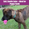 Chupete para perro de látex de 10 cm, los colores