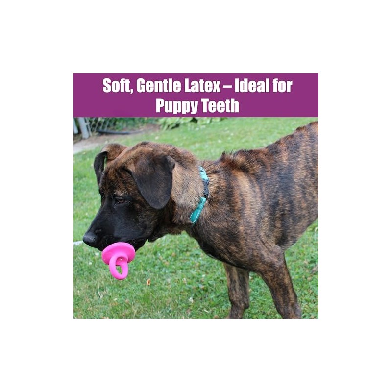 Chupete para perro de látex de 10 cm, los colores