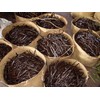 Madagascar Bourbon vanilla pods 13-14 cm x 15