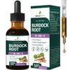 Selvaherb Burdock Root Formula Drops for Detox Cleanse Support &