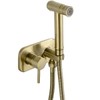TRUSTMI Bathroom Concealed Hot and Cold Bidet Spray Set Hand