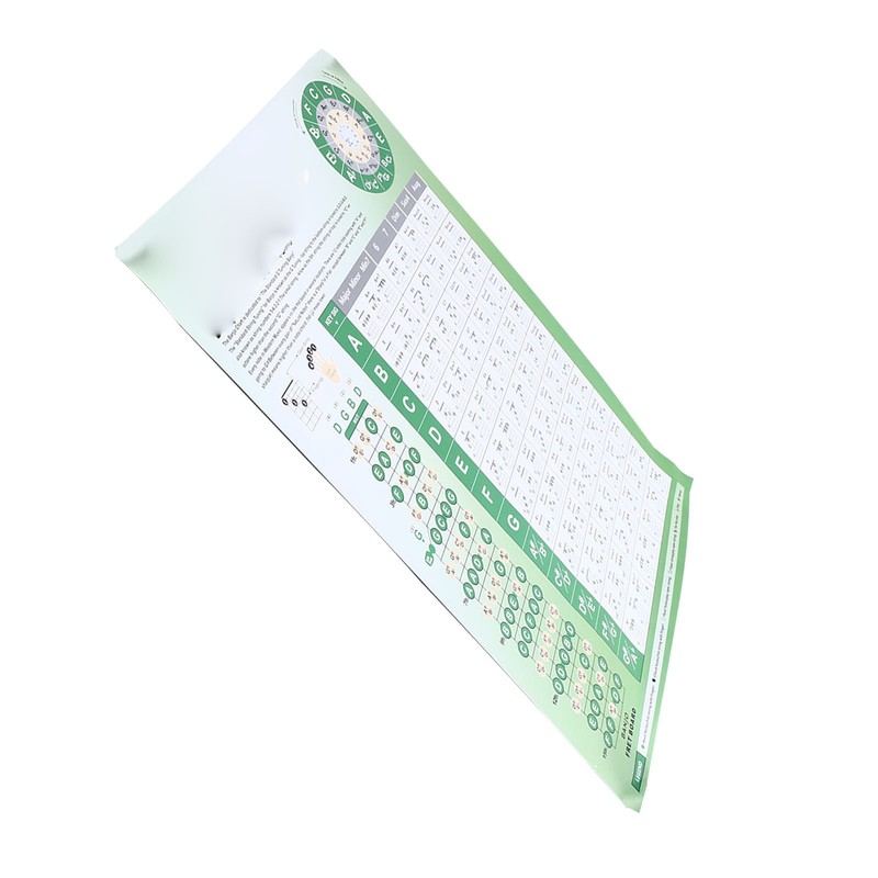 Banjo Chord Chart Feature and Tune Fingering Poster Coated Paper