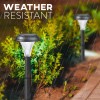 GardenBliss Best Solar Lights for Outdoor Pathway, 10 Brightest Light