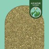 Alpi Nature Verbena Officinalis Organic Verbena Tea 200 g, Organic