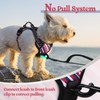rabbitgoo Dog Harness No Pull with 2 Leash Clips, Adjustable