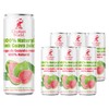 Elephant World 100% Natural Pink Guava Guayaba Juice | NON