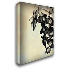 ArtDirect Burghardt, James 19x24 Gallery Wrapped Canvas Museum Art Titled: Orchid Blush Panels II