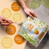 Vegan Protein - MANGO - Vegetable Protein Powder from Sprouted
