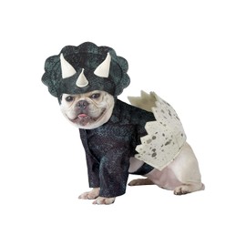 California Costume Collections Pet Dino Pup - Disfraz para Perro, Verde Oscuro, Cuello S, Circunferencia 12-14, 16-20, Espalda EE.UU