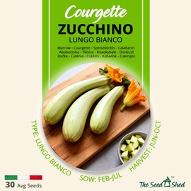 Courgette Zucchino Lungo Bianco – Light Green Italian Variety – Early, High-Yielding Bush Type – Tender, Compact Flesh – Ideal for UK Gardens