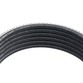 Goodyear Belts 1060842 Multi V-Serpentine Belt - 6 Ribs - Black - 84.2" - Acura MDX (2003-2006), Ford F-650 (2021-2023), Ford Mustang (2013-2014), Honda Accord (2003-2007)