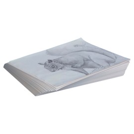 Sax School Smart - 85250 Newsprint Drawing Paper, 30 lb, 8-1/2 x 11 Inches, 500 Sheets, White