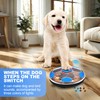Interactive Dog Chasing and Slow Feeder Toy, Music and Lights,