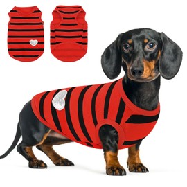 Queenmore Small Dog Shirt,Soft Breathable Dog Shirt for Dogs Cats Boy Girl,Pet Clothes for All Season,Breathable Lightweight Pet Tshirt for Frenchie, Dachshund, Yorkie