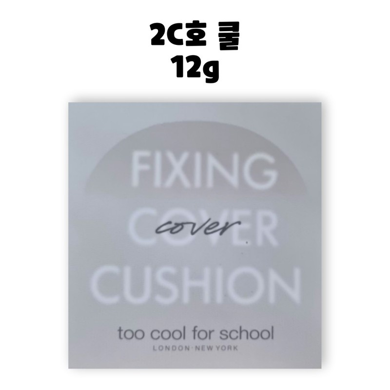 Too Cool for School Art Class Studio Fixing Cover Cushion