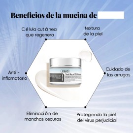 Vgo Mucina De Caracol 92 Humectante Facial Diario Crema Momento De Aplicacin Danoche Tipo De Piel Todo Tipo De Piel                                   