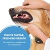 PetSilver Teeth & Gum Spray, Dogs & Cats, All-Natural, Clean