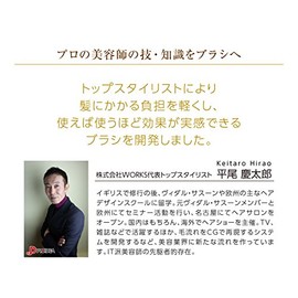 Hairdresser 0070-2230 Gloss Hair Brush Static Removal Type