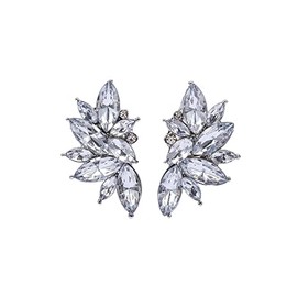 Retro Rhinestone Earrings Vintage Cluster Crystal Drop Dangle Statement Earrings Fancy Black Earrings for Women Men Wedding Cluster Earrings Elegant Jewelry Gifts