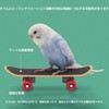 Roczential Parakeet Toy, Bird Toy, Skateboard Toy, Pet Supplies, Parrot