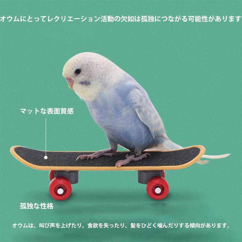 Roczential Parakeet Toy, Bird Toy, Skateboard Toy, Pet Supplies, Parrot