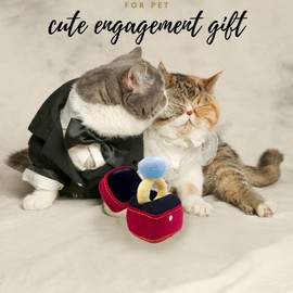 HomeSoGood Squeak Plush Toy, Interested Diamond Ring Case, Stuffed Pet Chew Soft Pet Supplies Dog Toy for Dog Wedding