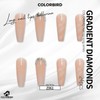 COLORBIRD Z061 Long Nail Tips, 24 Pieces, Pink, Nail Tips,