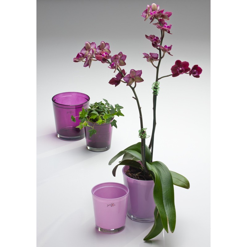 flowerpot ORCHID glass cachepot, 10cm, violet