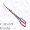 Pet Grooming Scissors with Round Tip & Big Finger Holes