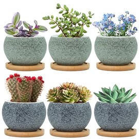 Thriving Thicket 3 inch Ceramic pots for Plants, Small Succulent Pots Set with Drainage, 6 Pack Flower Pot for Indoor Plant, Planters for Little or Mini Cactus (3 Black & 3 Dark Green)