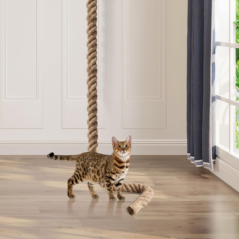 2" x 9.84Ft Cat Climbing Rope with Hook for Ceiling