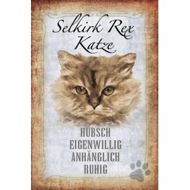 AGDeko® Blechschild 18x12 cm Selkirk Rex Katze ruhig zum Aufhängen oder Stellen Raum Dekoration