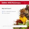 Physician's Strength Wild Rosemary Oil - 1 fl oz -