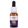 Living Essences Fuschia Grevillia 15ml