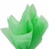 PMLAND Premium Quality Gift Wrapping Paper - Grass Green -