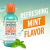 TheraBreath TheraBreath Plaque Control Pre-Brush Oral Rinse, Refreshing Mint Flavor,
