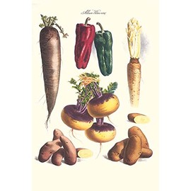 BuyEnLarge Vegetables; Bell peppers, turnips, potato, bok choy & tubers (20x30 Paper Poster)