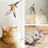 SONGWAY Cat Toy, Feather, Popular, Feather, Cat Toy, Natural Feather,